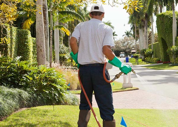 About Ferndale MI Pest Control